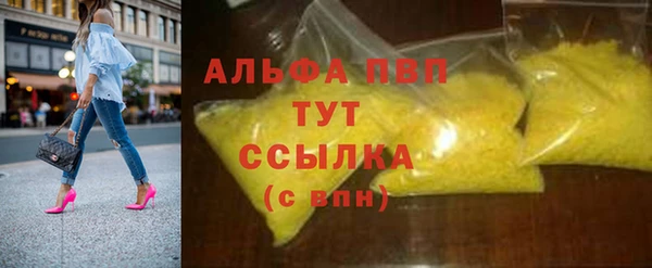 дмт Магас