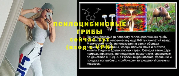 дмт Магас