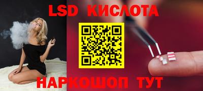 прущие грибы Гатчина