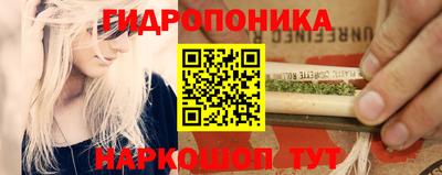 прущие грибы Гатчина