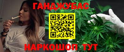 прущие грибы Гатчина