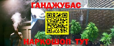 прущие грибы Гатчина