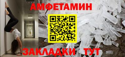 прущие грибы Гатчина