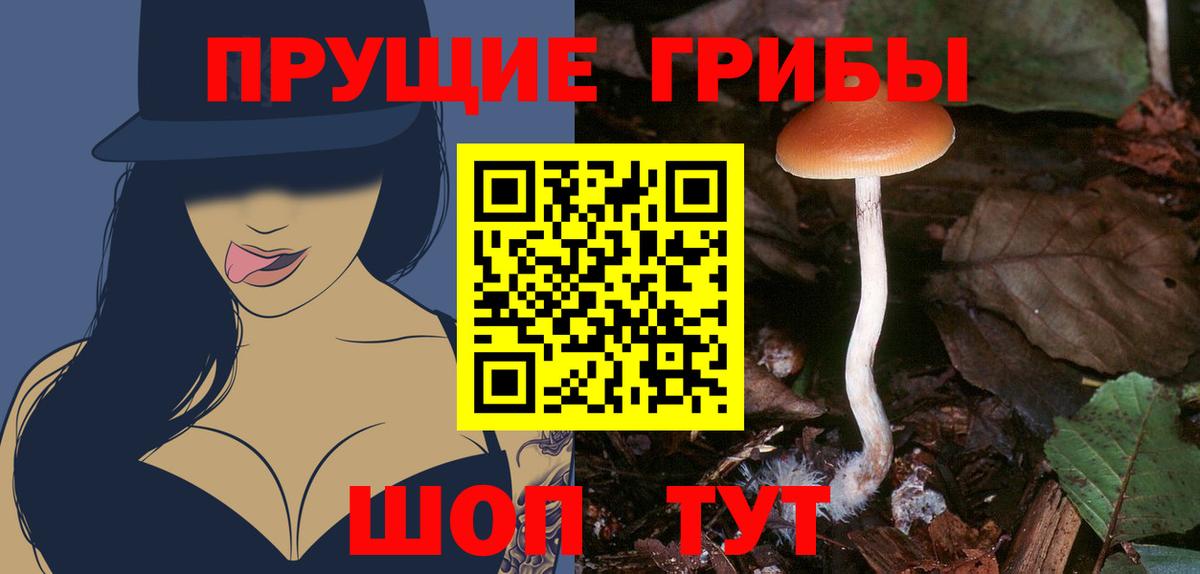 Псилоцибиновые грибы ЛСД  Вход с VPN  Донской  Галлюциногенные грибы Cubensis 